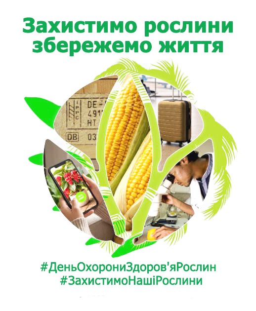 0.12.05.2026.0.jpg