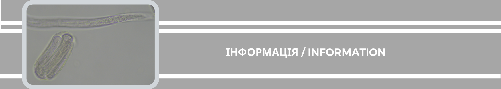 10.07.26.11.png