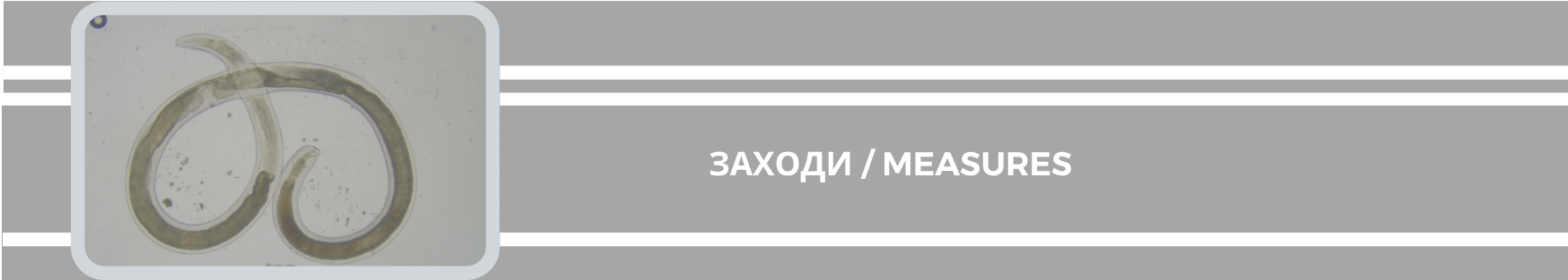 10.07.26.12.png