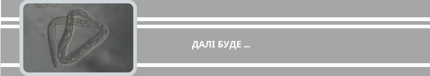 10.07.26.33.png
