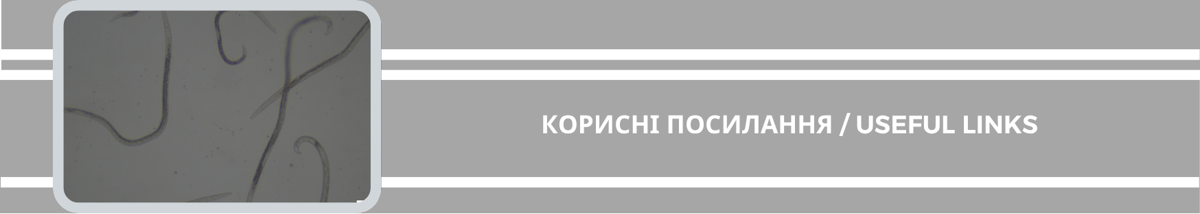 10.07.26.331.png