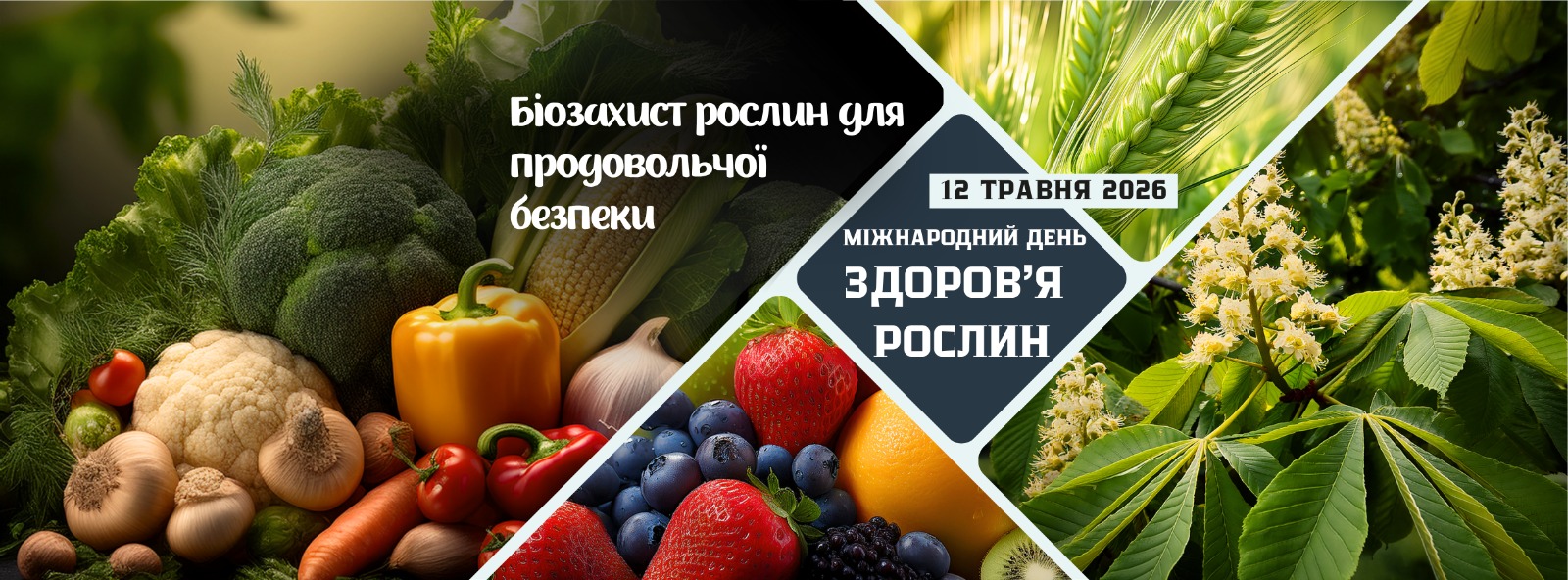 11.05.202666.jpg