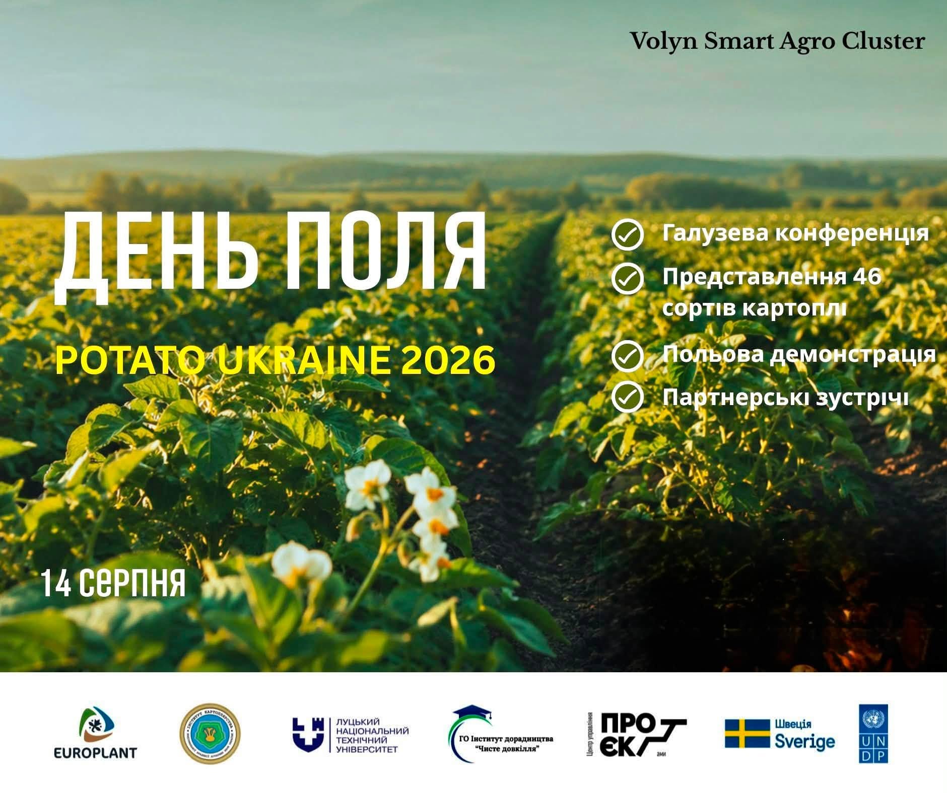 17.08.2026.1.jpg