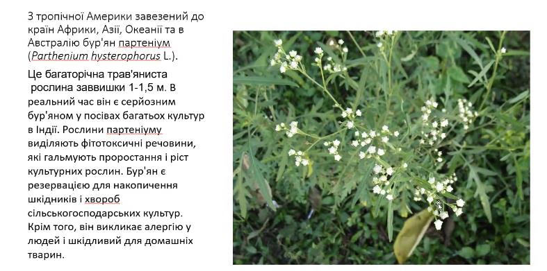 18.06.26.2.jpg