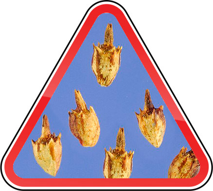 yhkjhkj.jpg