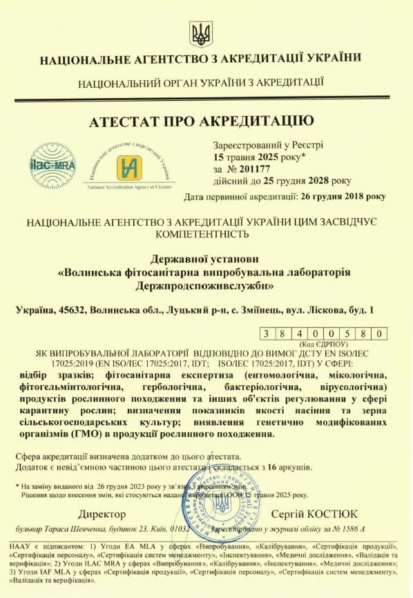 Атестат_2025.JPG