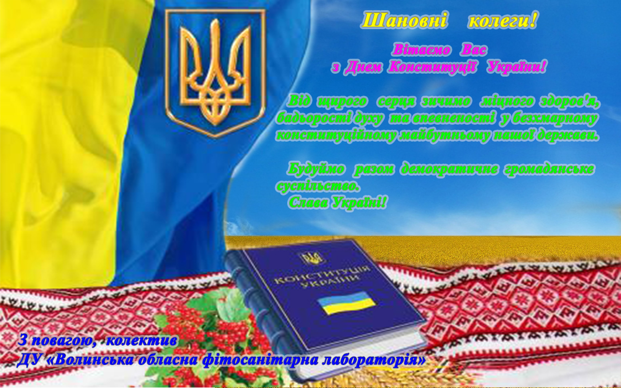 День_Конституції_2017.jpg