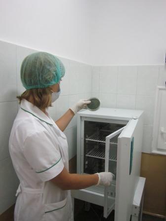 апві.jpg