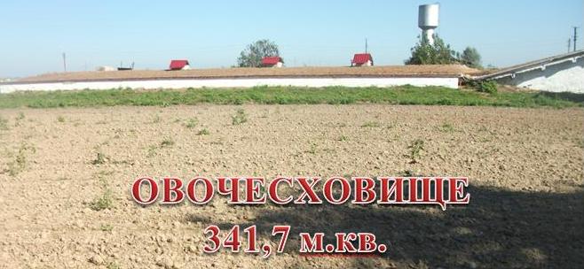 кнркегкег.jpg